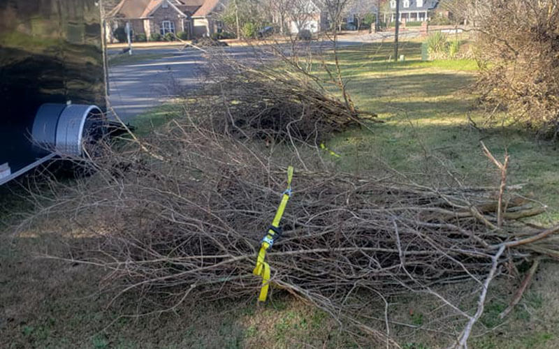 Yard Maintenance