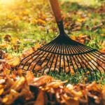Spring Cleanup in Jacksonville, North Carolina