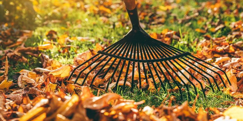 Spring Cleanup in Jacksonville, North Carolina