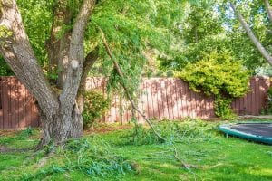 Tips for Spring Yard Cleanup