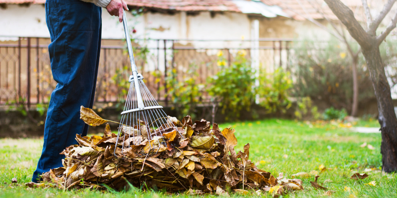 Yard Cleanup in Emerald Isle, North Carolina