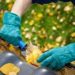 Leaf Removal in Jacksonville, North Carolina