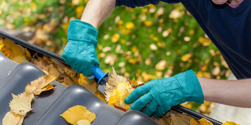 Leaf Removal in Emerald Isle, North Carolina