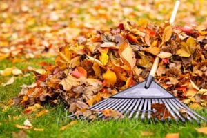 Benefits of Fall Yard Cleanup
