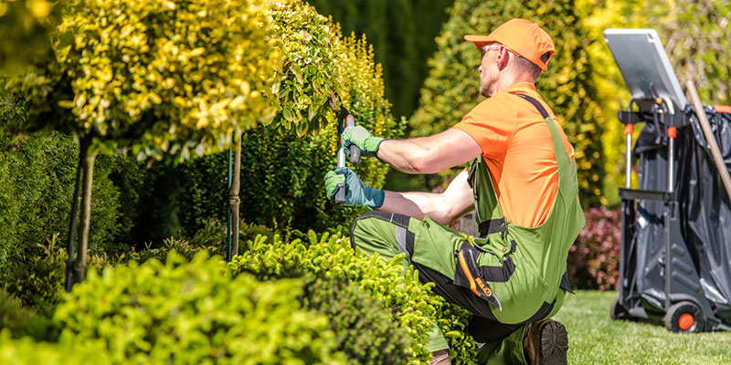 Three Easy Yard Maintenance Solutions