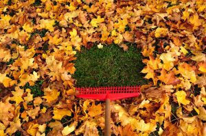 Struggling To Get Your Home Ready For The Holidays? Hire Our Fall Cleanup Crew!