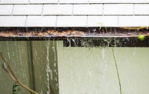 What is Gutter Cleaning, and Why Do I Need It?