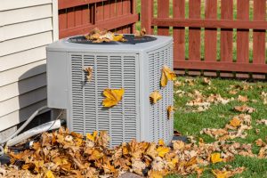The Benefits of Using a Professional Service for Your Seasonal Cleanup