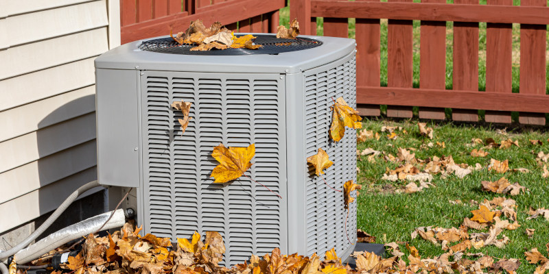 The Benefits of Using a Professional Service for Your Seasonal Cleanup
