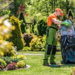 Yard Cleanup in Wilmington, North Carolina