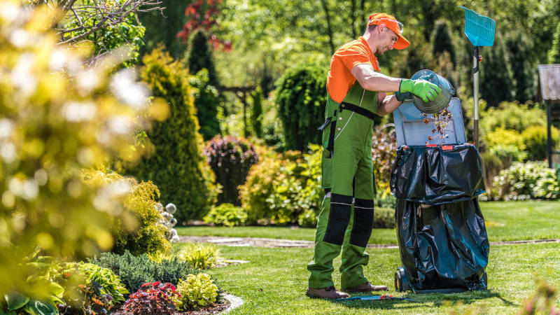 Yard Cleanup in Wilmington, North Carolina