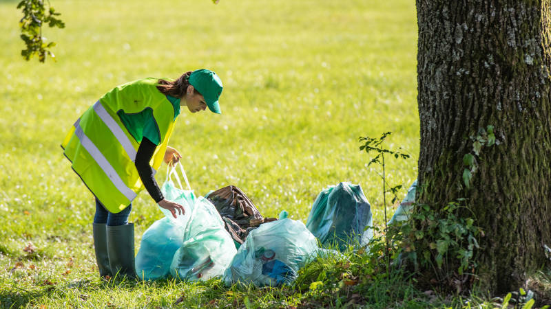 Spring Cleanup in Wilmington, North Carolina
