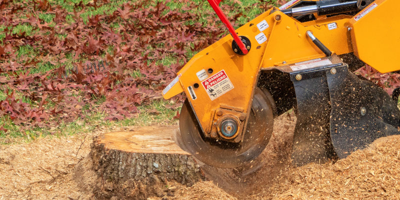 Stump Grinding in Jacksonville, North Carolina