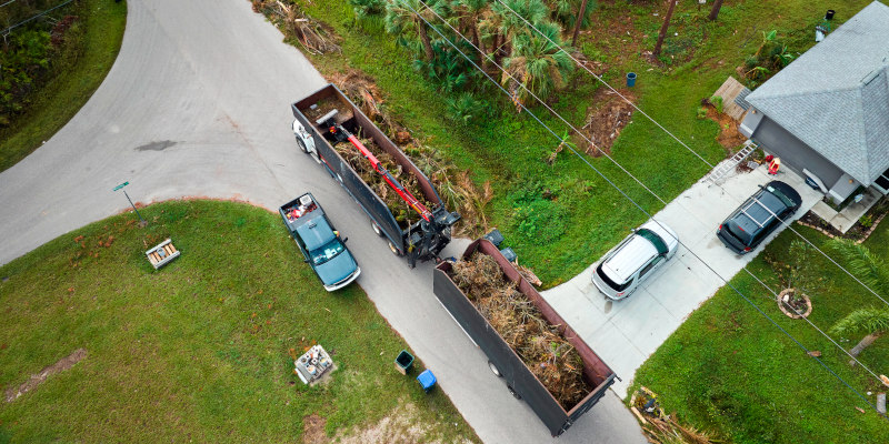 Storm Debris Cleanup in Jacksonville, North Carolina