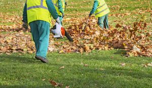 How a Fall Cleanup Job Benefits You