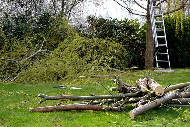 Let Us Take Care of Junk Removal and Yard Cleanup | Junk Busters