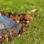 Fall Cleanup in Sneads Ferry, North Carolina