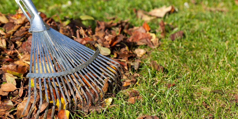 Fall Cleanup in Sneads Ferry, North Carolina