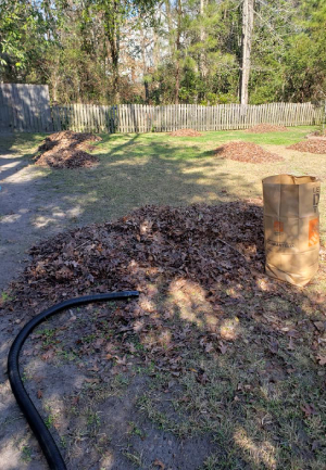 Seasonal Cleanup in Sneads Ferry, North Carolina