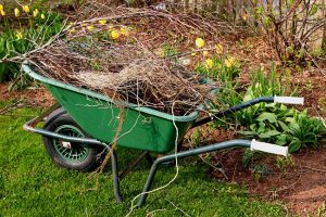 Wave Goodbye to Winter Clutter with a Spring Cleanup