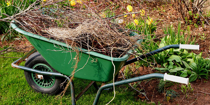 Wave Goodbye to Winter Clutter with a Spring Cleanup