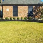 Yard cleanup