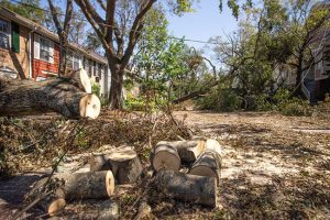 Post-Storm Recovery: The Importance of Prompt Storm Debris Cleanup