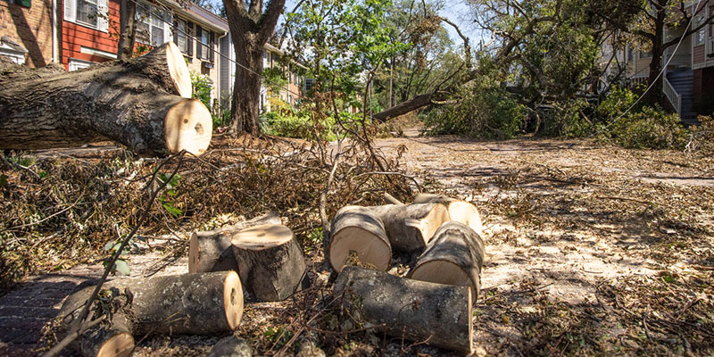 Post-Storm Recovery: The Importance of Prompt Storm Debris Cleanup