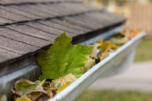 Why You Should Hire a Professional for Gutter Cleaning