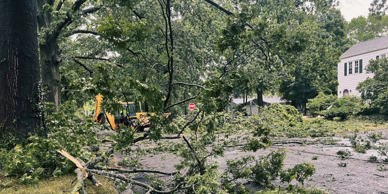 Junk Hauling After a Hurricane