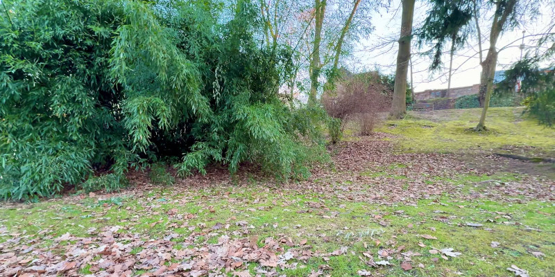 3 Benefits of Fall Cleanup