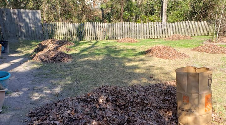 Yard Maintenance in Jacksonville, North Carolina