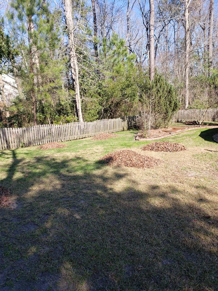 Yard Maintenance in Jacksonville, North Carolina